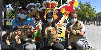 Büyükşehir'in Hayvanat Bahçesi Bayram'da Ücretsiz Olacak