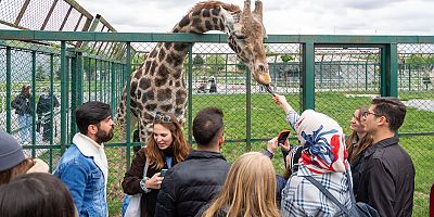 İsviçreli Öğrenciler Büyükşehir'in Hayvanat Bahçesi'ne Hayran Kaldı