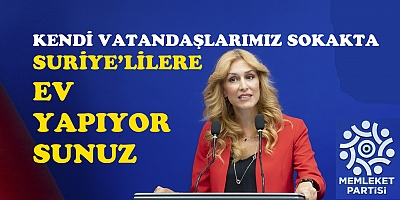 Memleket Partisi Sözcüsü Prof. Dr. İpek Özkal Sayan 