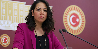 TİP Sözcüsü Kadıgil: Erdoğan siyasi dilencilik yapıyor