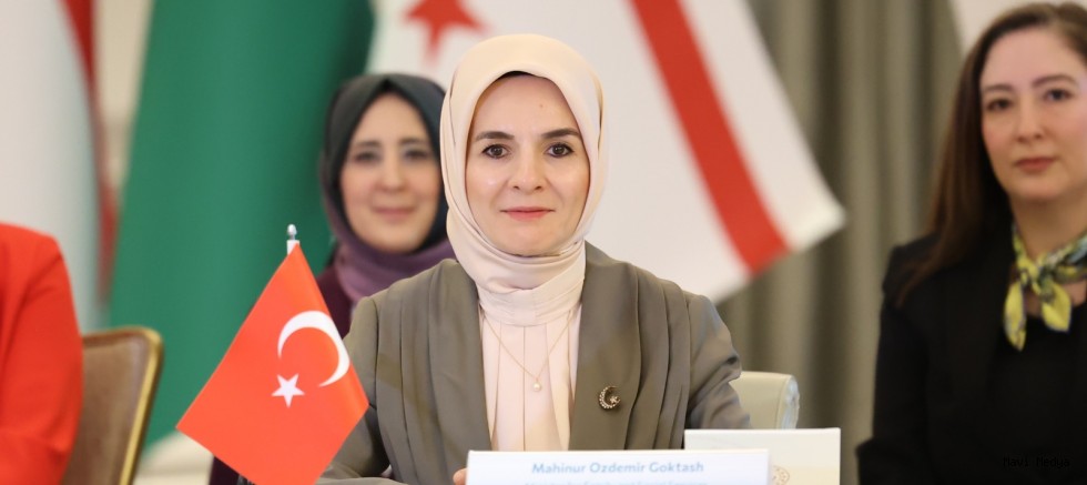 Bakan Göktaş, 