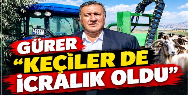 GÜRER: “MALTA KEÇİSİ, KIL KEÇİSİ İCRA İLE SATIŞTA”