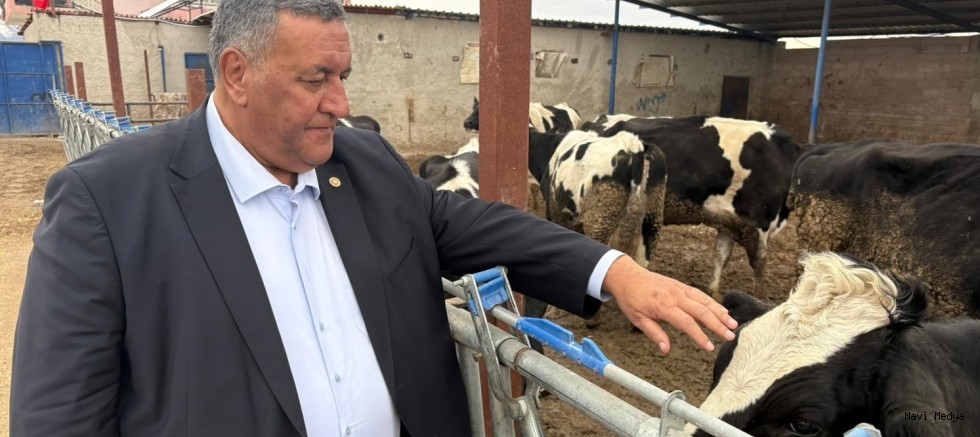 Gürer: “Üretici Ayakta Kalma Mücadelesi Veriyor”