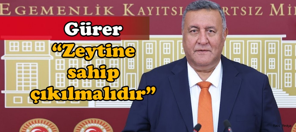 Gürer: “Vahşi madenciliğin önü açılıyor”