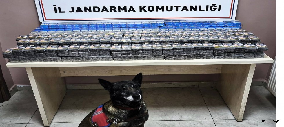 Kayseri’de 2 TIR’da kaçak sigara ele geçirildi