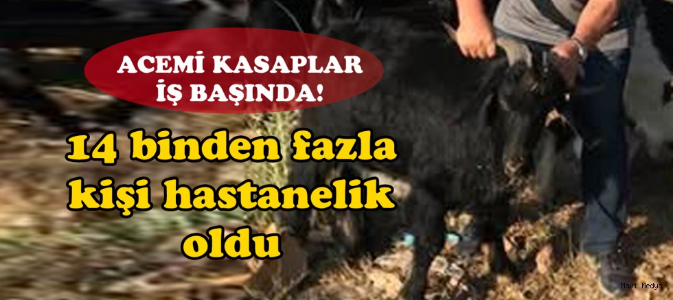 Kurban kesimlerinde 14 binden fazla kişi hastanelik oldu