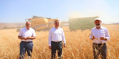 10 BİN YILLIK SİYEZ BUĞDAYININ HASADI YAPILDI