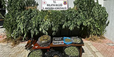 2,5 tona yakın uyuşturucu ele geçirildi