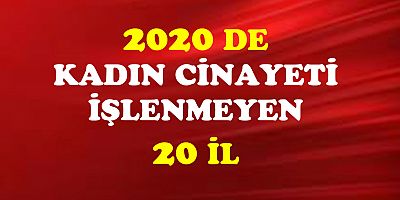 2020 yılında kadın cinayeti işlenmeyen 20 il