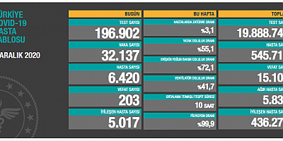Artış Sürüyor, 203 Kişi Daha Hayatını Kaybetti