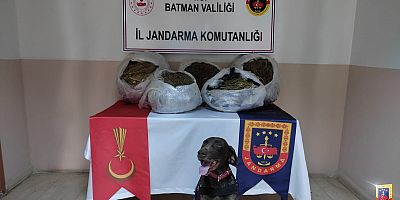 4 şehir, 4 uyuşturucu operasyonu