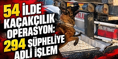 “54 İlde Kaçakçılık Suçlarına Yönelik Düzenlenen Operasyon.