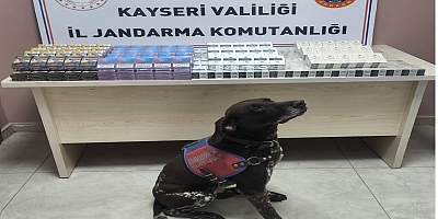 560 Paket Kaçak Sigara Ele Geçirildi