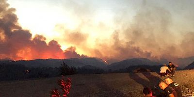 63 orman yangınından 43’ü kontrol altında