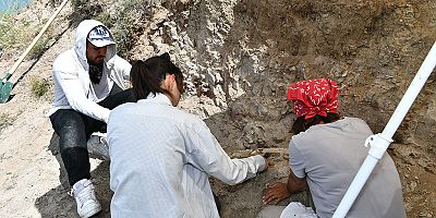 7.5 milyon yıllık fosilin bulunmasının ardından Kazı çalışmaları yeniden başladı.
