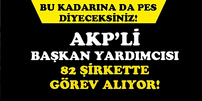 AKP'li başkan yardımcısı 82 şirkette yönetici olarak görev yapıyormuş!