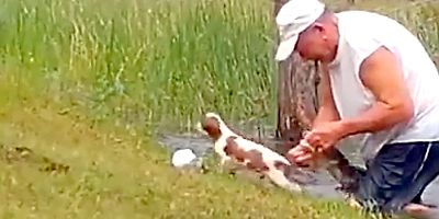 Amerikalı bir kadın köpeğini kurtarmak için timsahla dövüştü