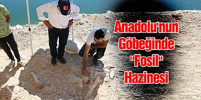 Anadolu'nun Göbeğinde 