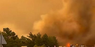 Antalya'da 12 noktada yangın