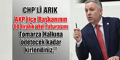 Bütçe Görüşmelerinde Konuşan Arık