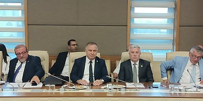 ARIK'IN SÖZLERİ AKPLİLERİ ÖFKELENDİRDİ: 