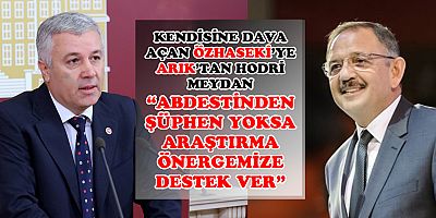 Arık