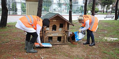 Atakum Belediyesi'nden patili dostlara 9 ton mama