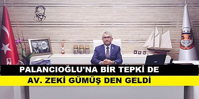 AV. ZEKİ GÜMÜŞ  PALANCIOĞLU'NUN SAYFASINDA ELEŞTİRDİ.