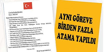 Aynı göreve birden fazla atama
