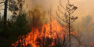 Bayramda piknik ateşine dikkat