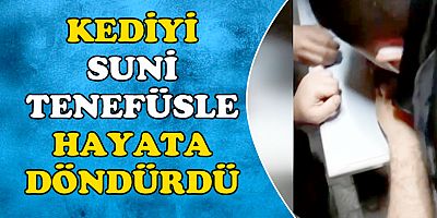 Bekçi, Kalbi Duran Kediyi Suni Teneffüsle Hayata Döndürdü