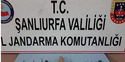 Bizans Dönemine Ait 65 Tarihi Eser Ele Geçirildi