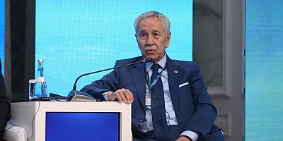 Bülent Arınç'tan 'devlet karşı işlenen suçlar' için af çağrısı