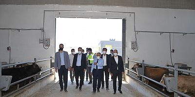 BÜYÜKKILIÇ, 100 TESİSİ MÜJDELEDİ, ÇAĞRIDA BULUNDU