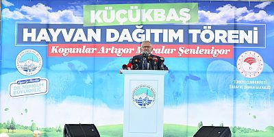 BÜYÜKKILIÇ, 1100 KÜÇÜKBAŞ HAYVAN DAĞITTTI, 2 BİN SÖZÜ VERDİ
