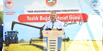 BÜYÜKKILIÇ İLE VALİ ÇİÇEK, BİÇERDÖVER KULLANARAK BUĞDAY HASADI YAPTI
