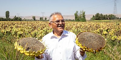 Büyükkılıç,  “Şemşamer”  tarlalarını dolaştı.