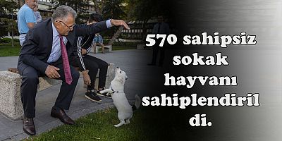 BÜYÜKŞEHİR, 1 YILDA 10 BİN SOKAK HAYVANINA SAHİP ÇIKTI