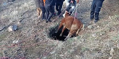 Büyükşehir İtfaiyesi'nden 