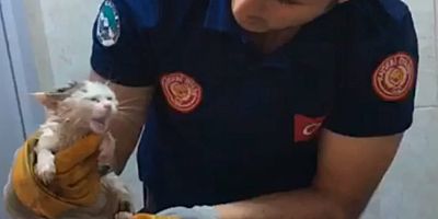 Büyükşehir İtfaiyesi, Tuvalet Giderine Sıkışan Minik Kediyi Kurtardı