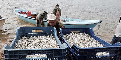 Çekerek Barajında ihaleyi kazanan avlanacak