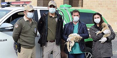 Çevre, Doğa ve Hayvanları Koruma Polisleri Mardin'de Görev Başında