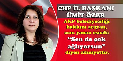 CHP İl Başkanı Özer 