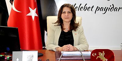 CHP İL BAŞKANI ÖZER 