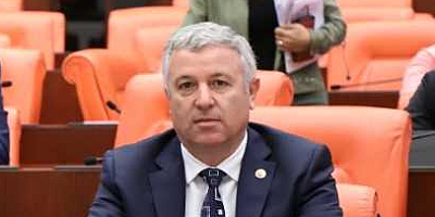 CHP'Lİ ARIK DEVELİLERİN ŞİKAYETLERİNİ MECLİSE TAŞIDI