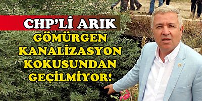 CHP'li Arık 