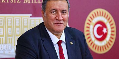 CHP'li Gürer 