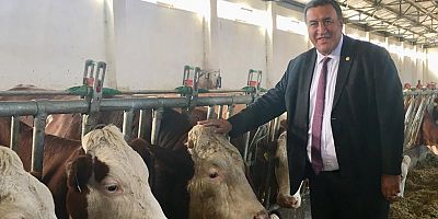 CHP'Lİ GÜRER 