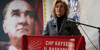 CHP'Lİ SUNU'NUN  ÇOCUK İSTİSMARINA İLİŞKİN BASIN AÇIKLAMASI