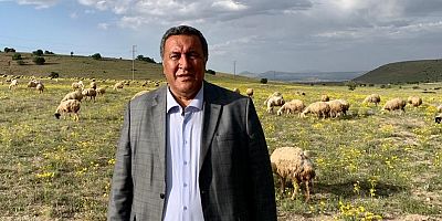 CHP Milletvekili Gürer’in önergesine Bakan Kirişçi yanıt verdi…